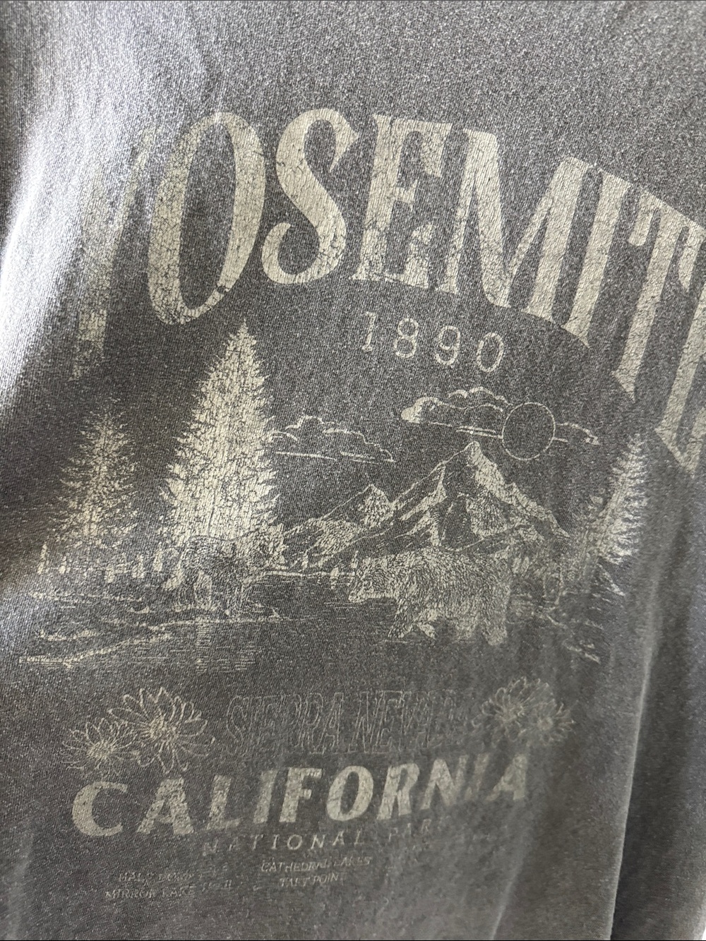 Vintage Yosemite Graphic Short-Sleeve Tee - Charcoal Medium - Picture 5 of 5